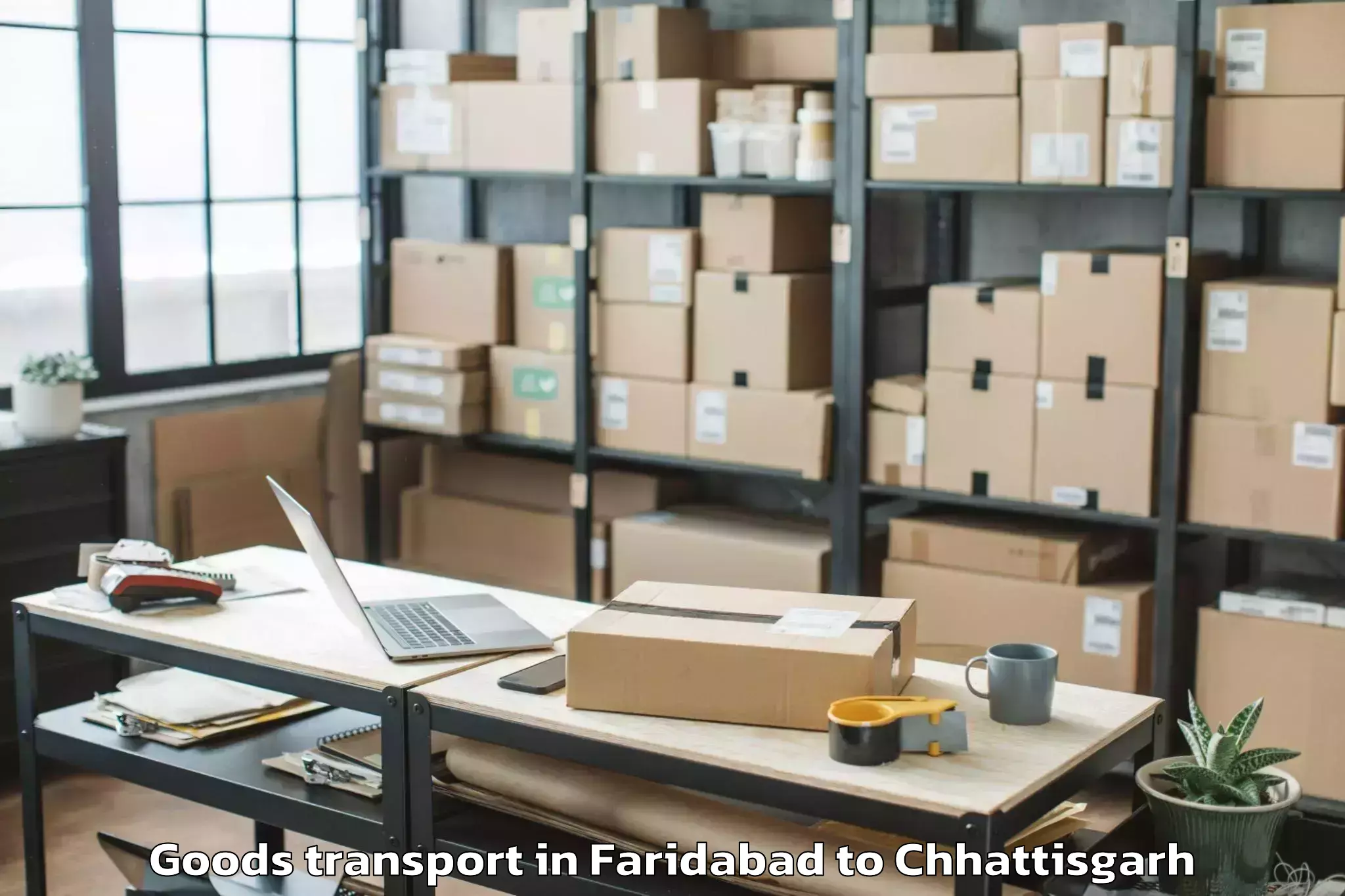 Hassle-Free Faridabad to Icfai University Raipur Durg Goods Transport